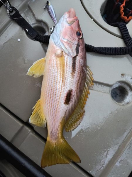 カヤックフィッシングで五目達成