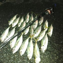 フロートゲーム～