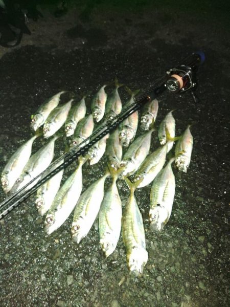 フロートゲーム~