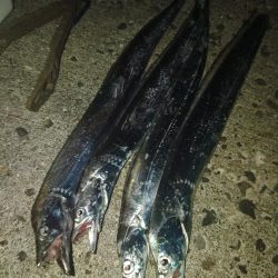 ワインドゲーム～