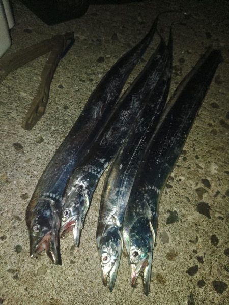 ワインドゲーム～