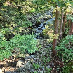 大雨強風警報の恩恵は終わってた、、