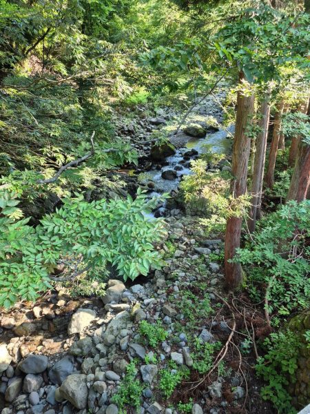 大雨強風警報の恩恵は終わってた、、