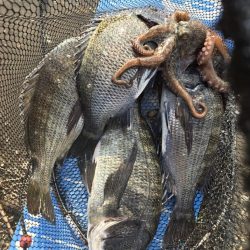 暑さに負けず🥵紀州釣り🥵