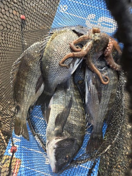 暑さに負けず🥵紀州釣り&#…