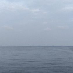 ライトジギング