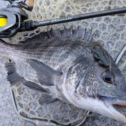 広島チニング棚部会!