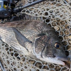 広島短時間下見チニング