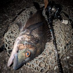 広島敷石ネチネチニング