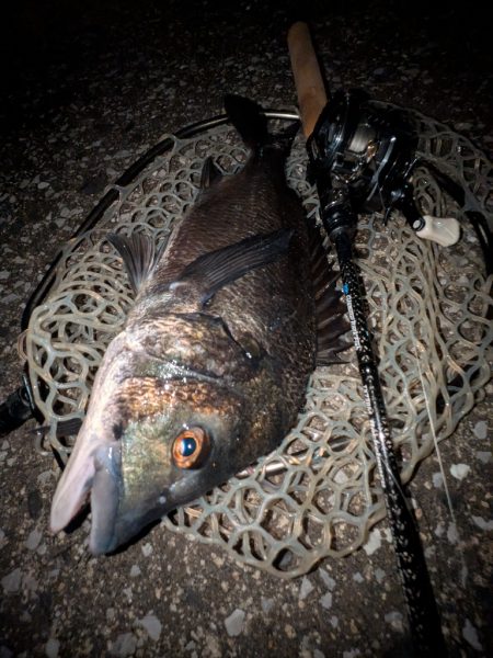 広島敷石ネチネチニング