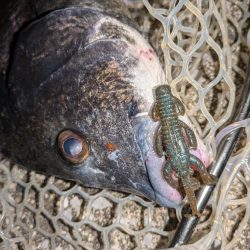 大人の夜遊び広島敷石ネチネチニング