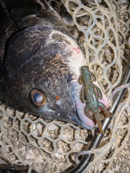 大人の夜遊び広島敷石ネチネチニング