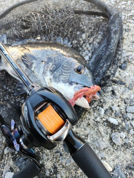 ナイトチニング