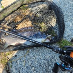 丸1日！広島市内チニング