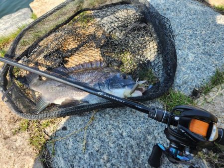 丸1日！広島市内チニング