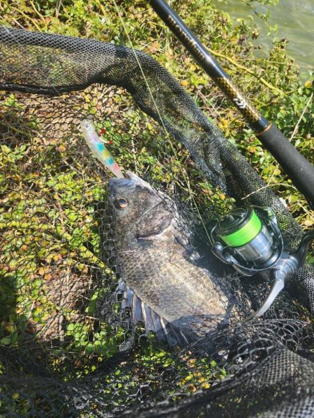 しごおわチニング