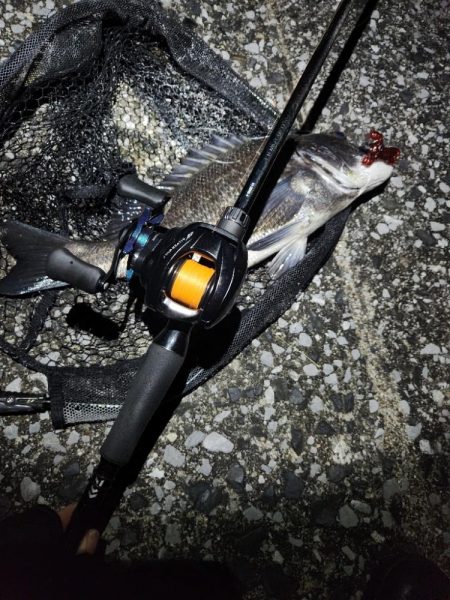 敷石ナイトチニング