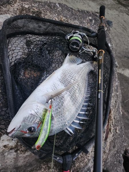 しごおわチニング