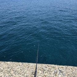 酷暑との戦い…六目釣り