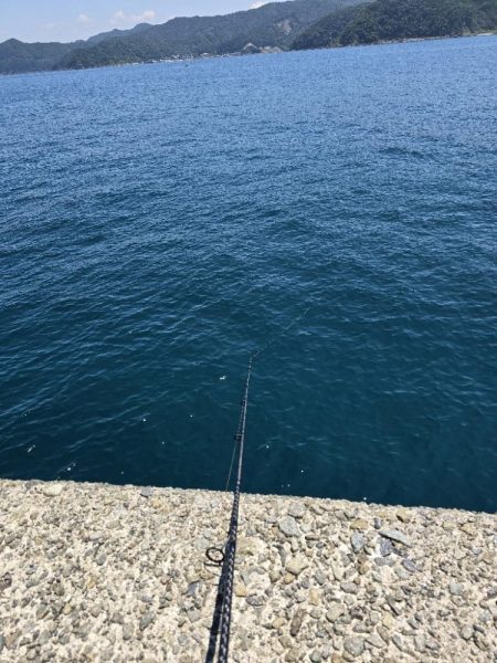 酷暑との戦い…六目釣り