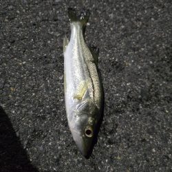 はじめての場所