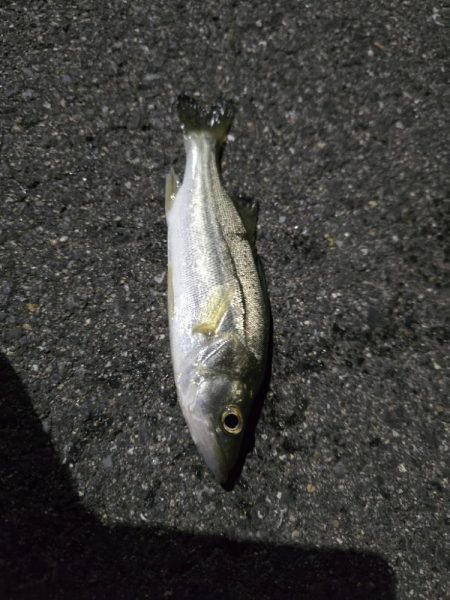 はじめての場所