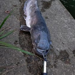 光の中から現れたのは