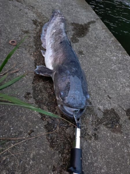 光の中から現れたのは