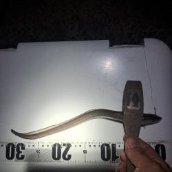 厳しいアナゴ釣り