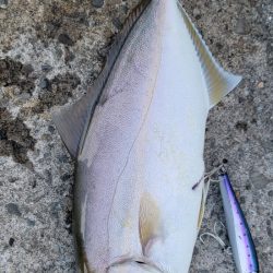 スーパーライトショアジギング