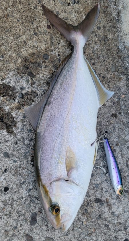 スーパーライトショアジギング