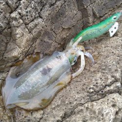 うねりの中で…