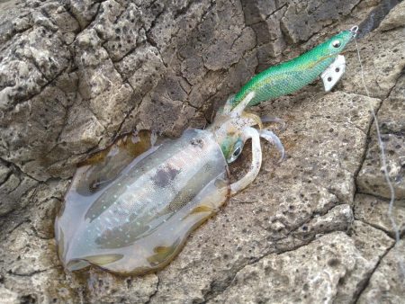 うねりの中で…