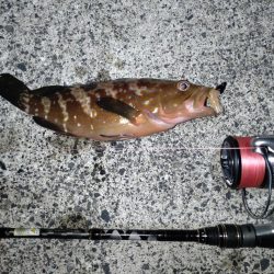 ライトロック(遠征)