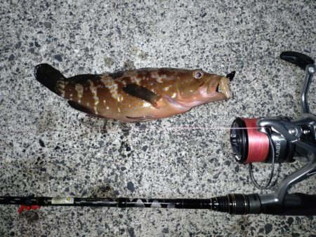 ライトロック(遠征)