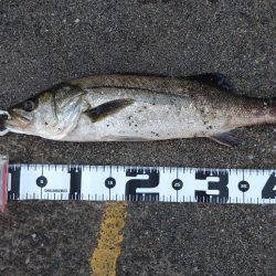 真夏のメソッド