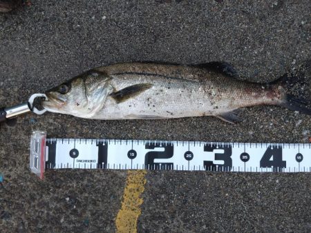 真夏のメソッド