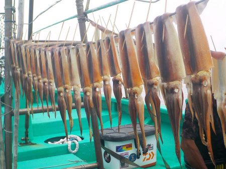 スルメイカ　２０～５３杯 ３５～５０ｃｍ …