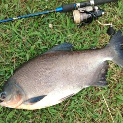 アマゾンの怪魚にチャレンジ！