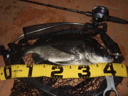 ハードルアーだけで