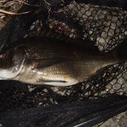 ホームエリアで