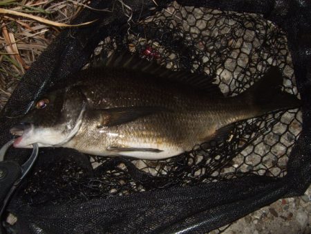 ホームエリアで