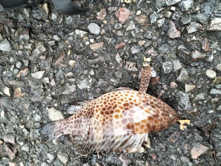 三重・和歌山遠征1日目