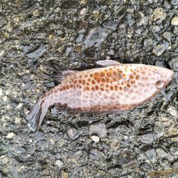 三重・和歌山遠征2日目