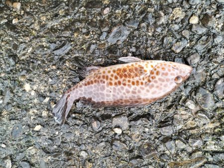 三重・和歌山遠征2日目