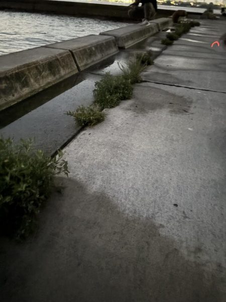 あぶね〜！魂の１杯やでぇ〜