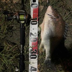 アーバンチニング②