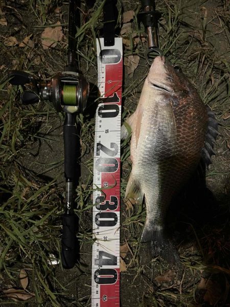 アーバンチニング②