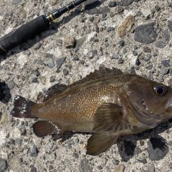 港でガヤ祭り！！