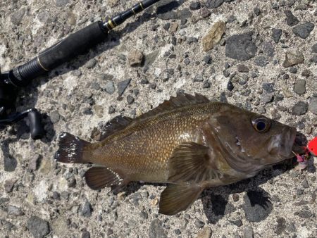 港でガヤ祭り！！